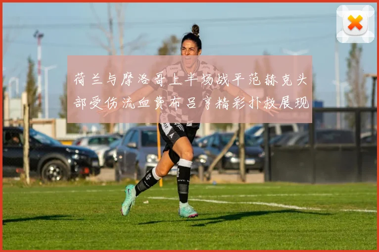 荷兰与摩洛哥上半场战平范赫克头部受伤流血费布吕亨精彩扑救展现实力