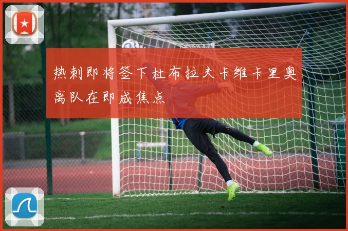 热刺即将签下杜布拉夫卡维卡里奥离队在即成焦点