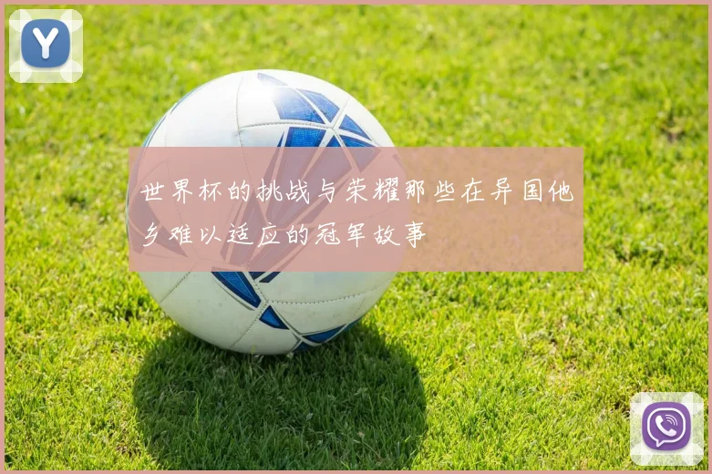 世界杯的挑战与荣耀那些在异国他乡难以适应的冠军故事